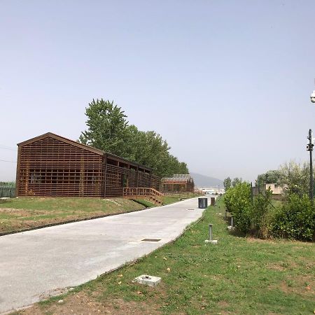 Bnb Nonna Maria Poggiomarino Bagian luar foto